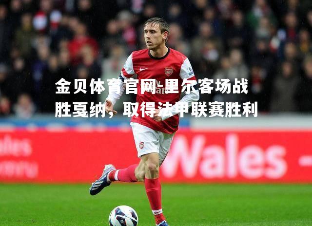 里尔客场战胜戛纳，取得法甲联赛胜利