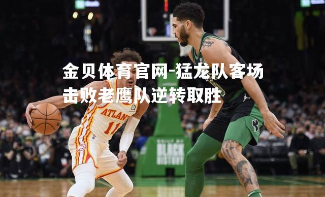 猛龙队客场击败老鹰队逆转取胜