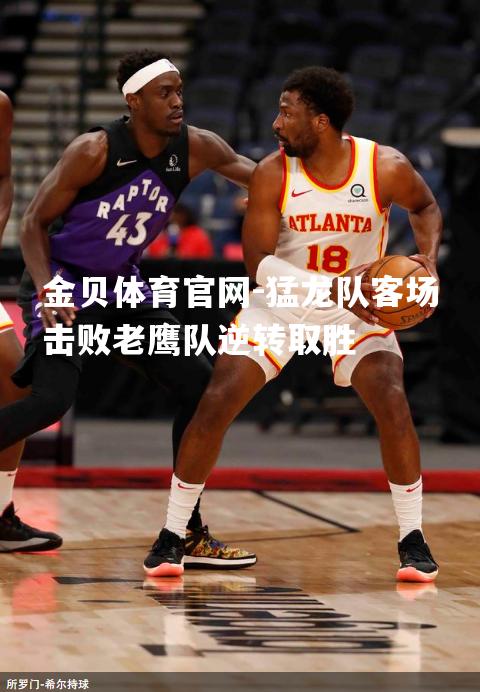 猛龙队客场击败老鹰队逆转取胜