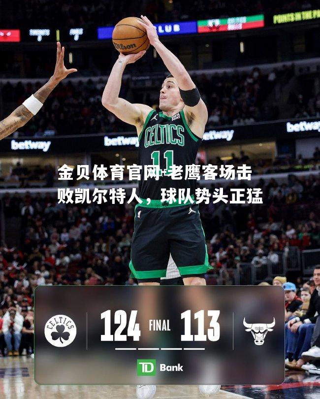 老鹰客场击败凯尔特人，球队势头正猛